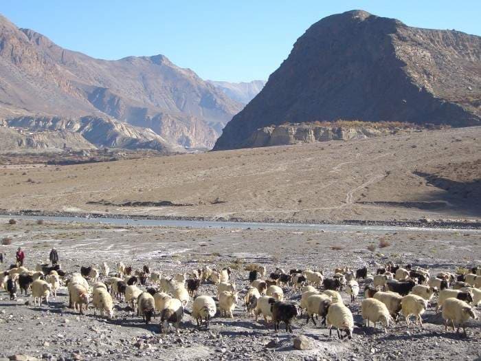 Annapurna Circuit Trek