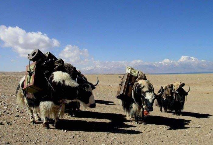 Nar Phu and Tilicho Lake Trek